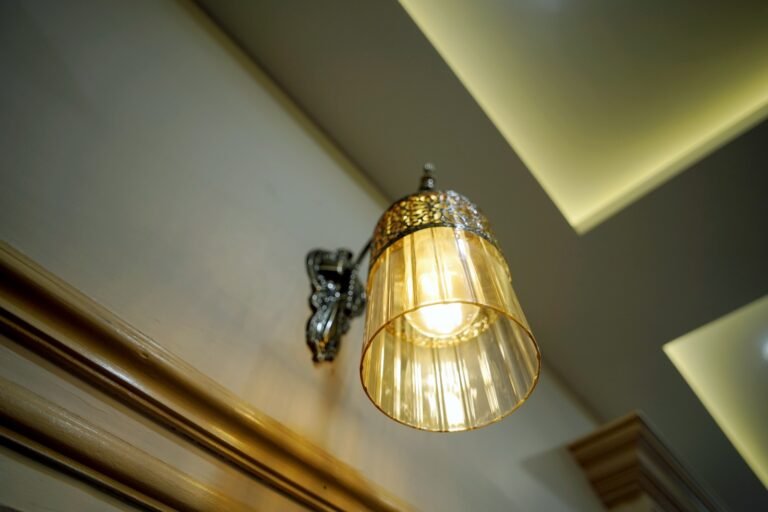 WhatsApp Image 2025-05-21 at 11.44